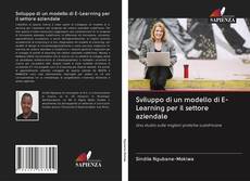 Capa do livro de Sviluppo di un modello di E-Learning per il settore aziendale 