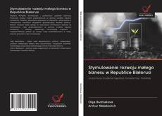 Stymulowanie rozwoju małego biznesu w Republice Białorusi kitap kapağı