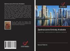 Buchcover von Zjednoczone Emiraty Arabskie
