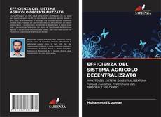 Portada del libro de EFFICIENZA DEL SISTEMA AGRICOLO DECENTRALIZZATO