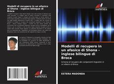 Buchcover von Modelli di recupero in un afasico di Shona - inglese bilingue di Broca