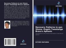 Portada del libro de Recovery Patterns in een Shona- Engels Tweetalige Broca's Aphasic