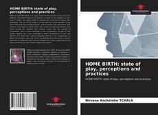 Capa do livro de HOME BIRTH: state of play, perceptions and practices 