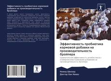 Bookcover of Эффективность пробиотика кормовой добавки на производительность бройлера