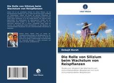 Portada del libro de Die Rolle von Silizium beim Wachstum von Reispflanzen