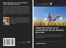 Buchcover von Papel del silicio en el crecimiento de las plantas de arroz