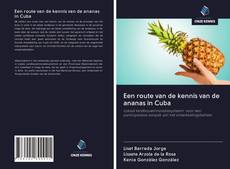 Copertina di Een route van de kennis van de ananas in Cuba