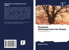 Трудовое законодательство Индии的封面
