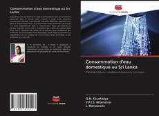 Обложка Consommation d'eau domestique au Sri Lanka
