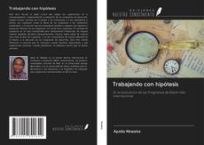 Bookcover of Trabajando con hipótesis