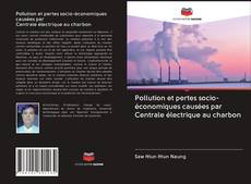 Bookcover of Pollution et pertes socio-économiques causées par Centrale électrique au charbon