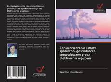 Copertina di Zanieczyszczenie i straty społeczno-gospodarcze spowodowane przez Elektrownia węglowa