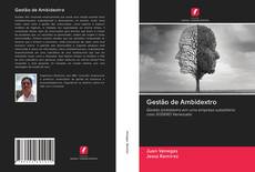 Gestão de Ambidextro kitap kapağı