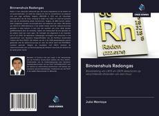 Buchcover von Binnenshuis Radongas