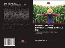 Borítókép a  ÉVALUATION DES BIOFERTILISANTS DANS LE RIZ - hoz