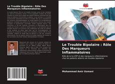 Le Trouble Bipolaire : Rôle Des Marqueurs Inflammatoires的封面