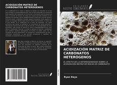 Bookcover of ACIDIZACIÓN MATRIZ DE CARBONATOS HETERÓGENOS