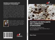 Copertina di MATRICE ACIDIFICANTE DEI CARBONATI ETEROGENEI