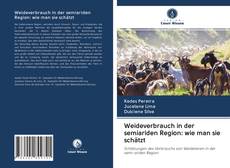 Bookcover of Weideverbrauch in der semiariden Region: wie man sie schätzt
