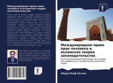 Обложка Международное право прав человека и исламская теория законодательства