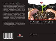 Buchcover von Fractionnement du phosphore