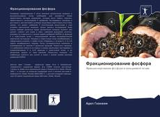 Bookcover of Фракционирование фосфора