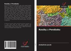 Bookcover of Rzeźby z Pendżabu