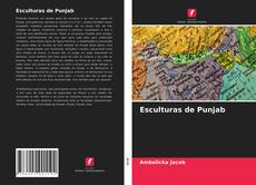 Portada del libro de Esculturas de Punjab