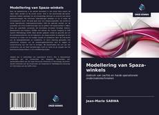 Обложка Modellering van Spaza-winkels