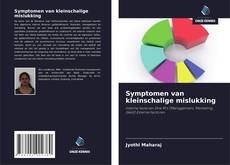 Portada del libro de Symptomen van kleinschalige mislukking