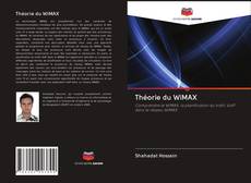 Capa do livro de Théorie du WiMAX 