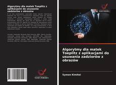 Copertina di Algorytmy dla matek Toeplitz z aplikacjami do usuwania zadziorów z obrazów