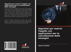 Bookcover of Algoritmi per matrici Toeplitz con applicazioni per la cancellazione delle immagini