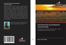 Buchcover von Convenzione di protezione commerciale