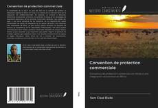 Convention de protection commerciale kitap kapağı