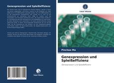 Обложка Genexpression und Spleißeffizienz