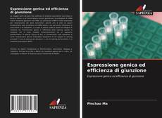 Espressione genica ed efficienza di giunzione的封面