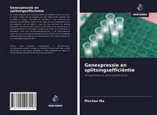 Bookcover of Genexpressie en splitsingsefficiëntie