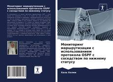 Copertina di Мониторинг маршрутизации с использованием протокола OSPF с соседством по нижнему статусу