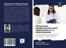 Buchcover von Механизмы профилактики рака куркумином и (-) эпикатехином