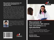 Borítókép a  Meccanismi di prevenzione del cancro con curcumina e (-) epicatechina - hoz