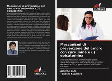 Copertina di Meccanismi di prevenzione del cancro con curcumina e (-) epicatechina