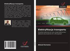 Bookcover of Elektryfikacja transportu