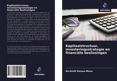 Bookcover of Kapitaalstructuur, investeringsstrategie en financiële beslissingen