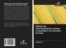 Effetti dei macronutrienti primari e secondari sul raccolto di mais kitap kapağı