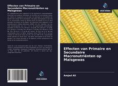 Bookcover of Effecten van Primaire en Secundaire Macronutriënten op Maïsgewas
