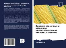 Buchcover von Влияние первичных и вторичных макроэлементов на культуру кукурузы