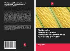 Bookcover of Efeitos dos Macronutrientes Primários e Secundários na cultura do Milho