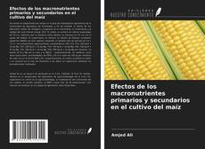 Bookcover of Efectos de los macronutrientes primarios y secundarios en el cultivo del maíz