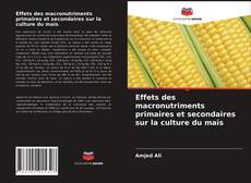 Borítókép a  Effets des macronutriments primaires et secondaires sur la culture du maïs - hoz